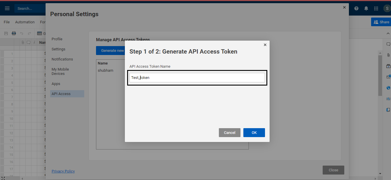 Smartsheet's API Generation Window