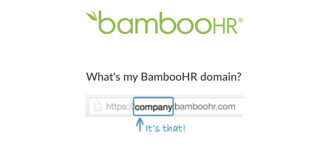 Company domain name